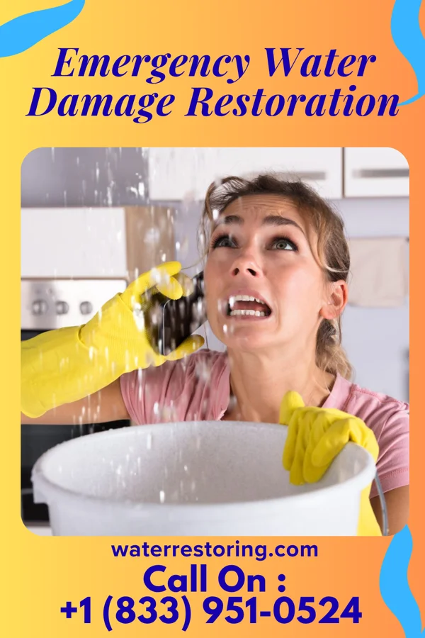 Emergency Water Damage Restoration in Topaz Ranch Estates, NV